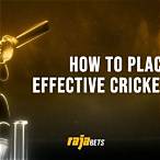 cricket bet tips